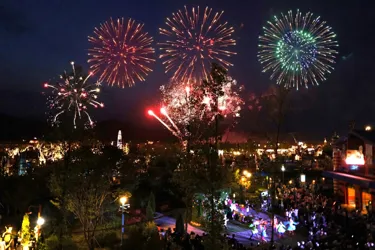 Firework