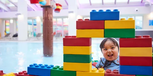 240206 LEGO LAND 03076 (1)